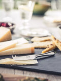 Robert Welch Radford small cheese knife (British brand)