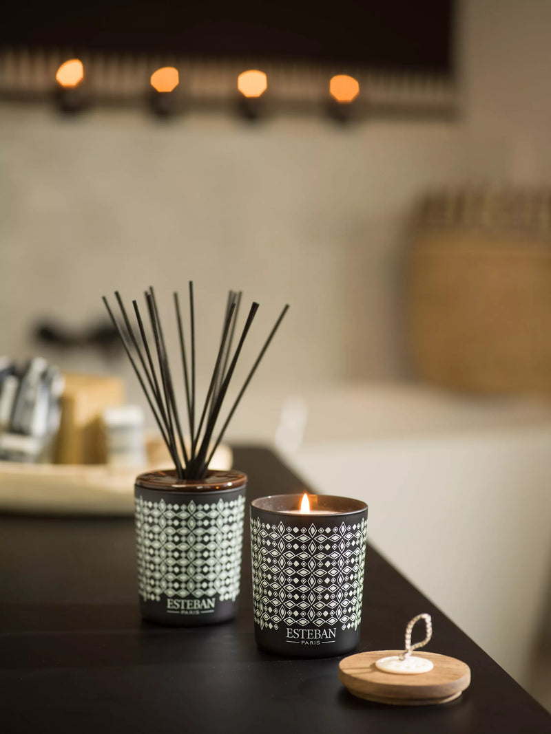 Esteban Teck & Tonka reed diffuser 100ml - British product