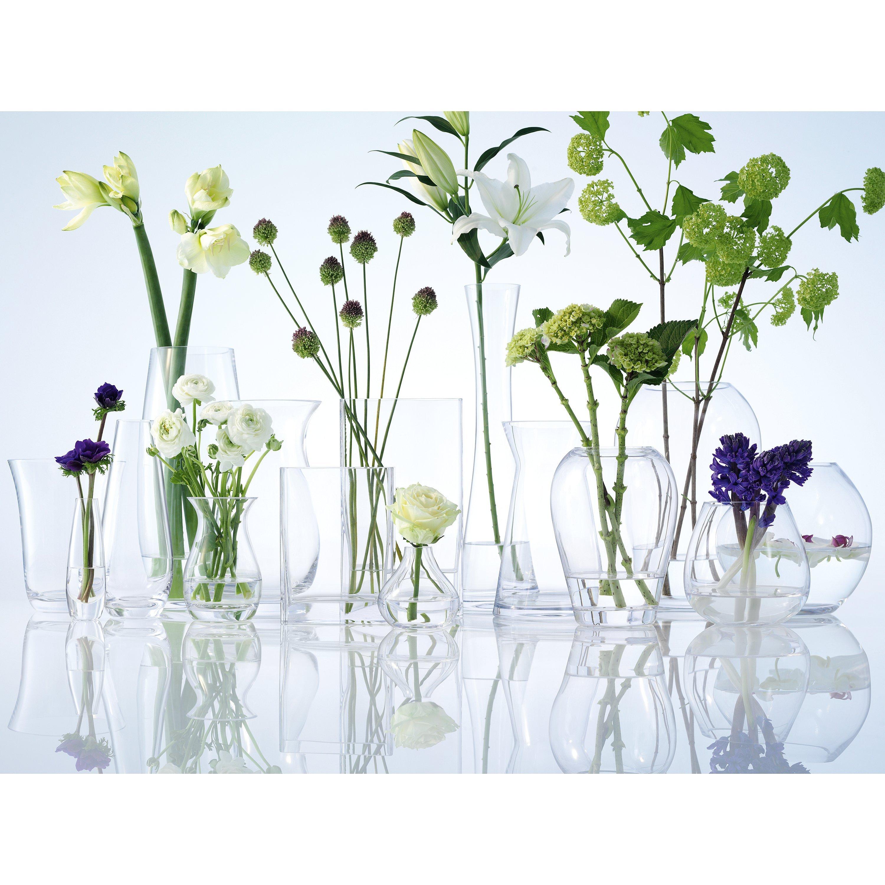 LSA International Globe Vase Clear H22cm, UK version
