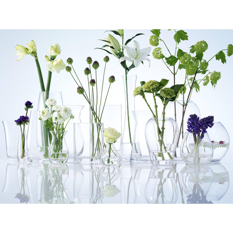LSA International Globe Vase Clear H22cm, UK version