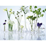 LSA International Globe Vase Clear H22cm, UK version