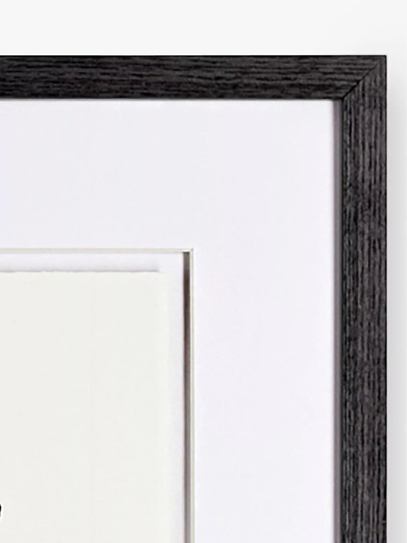 John Lewis framed print Picasso Le Chien 40x50cm - British product