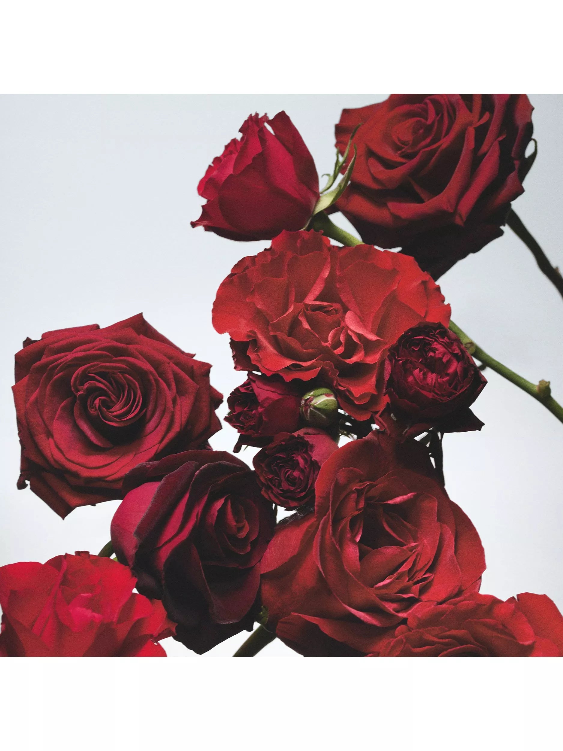 Jo Malone London Red Roses candle 200g, imported from the UK