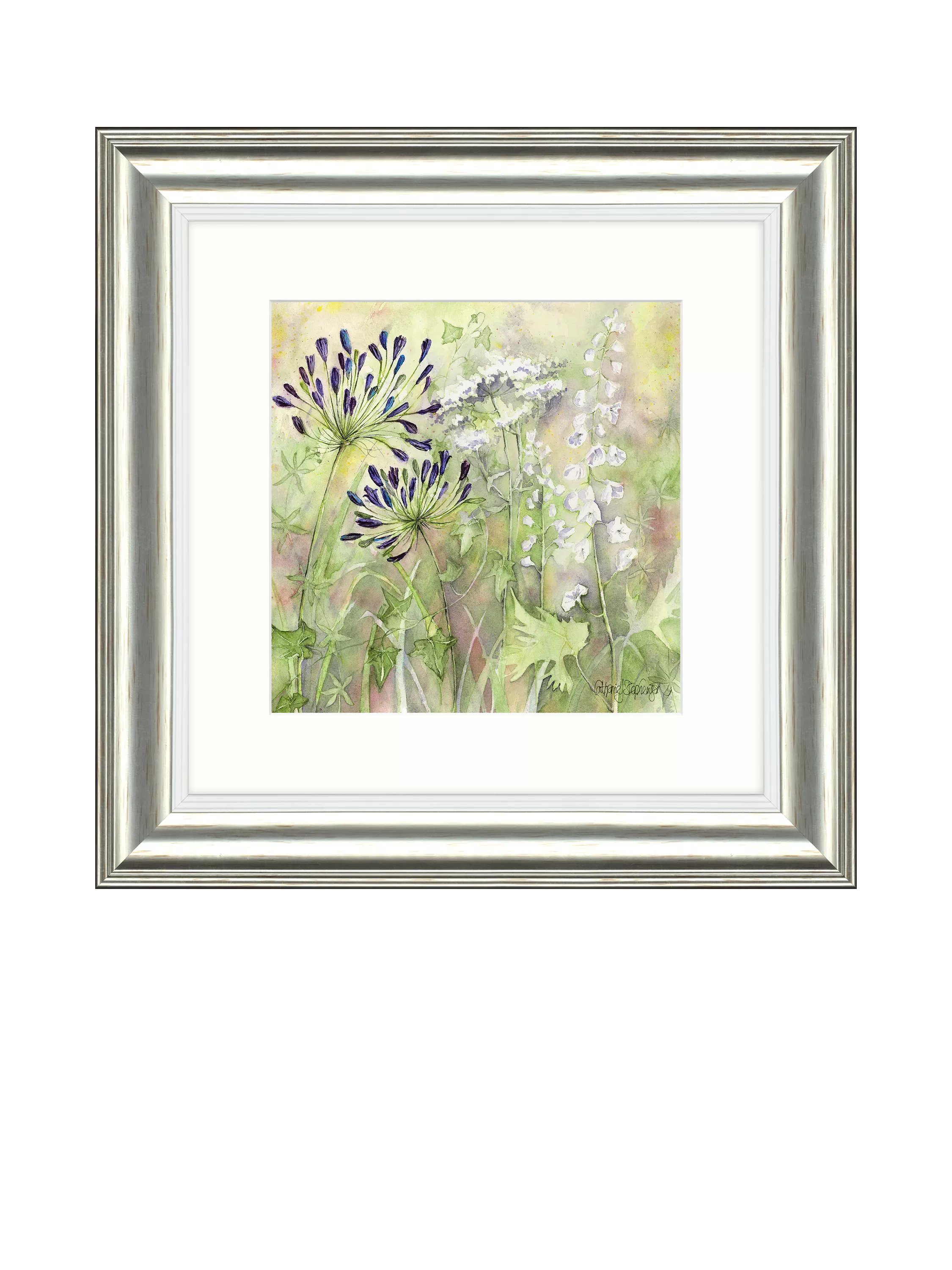 John Lewis framed print Agapanthus Grasses 50x50cm (British brand)
