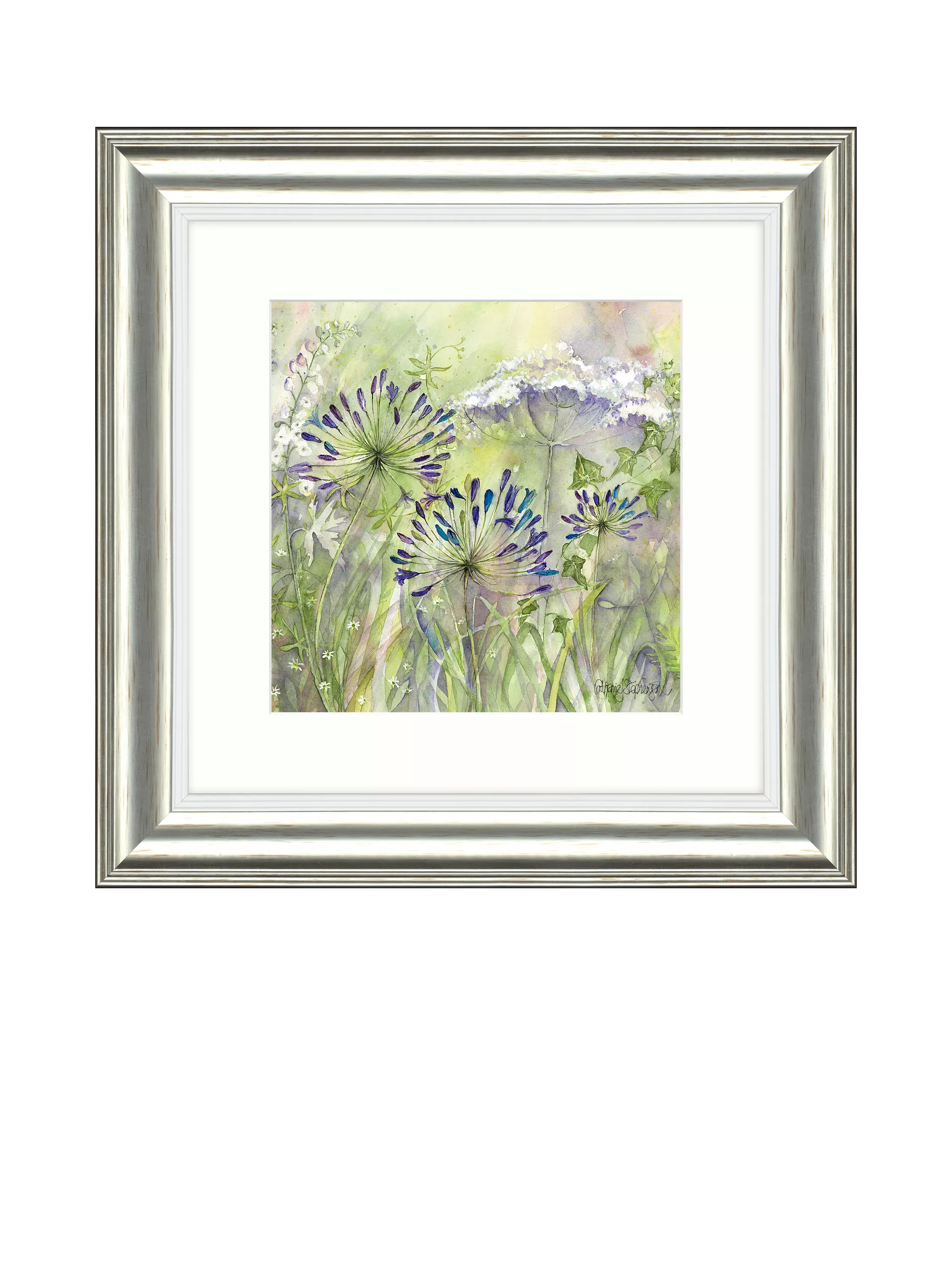 John Lewis Agapanthus Grasses II framed print 50x50cm - British product