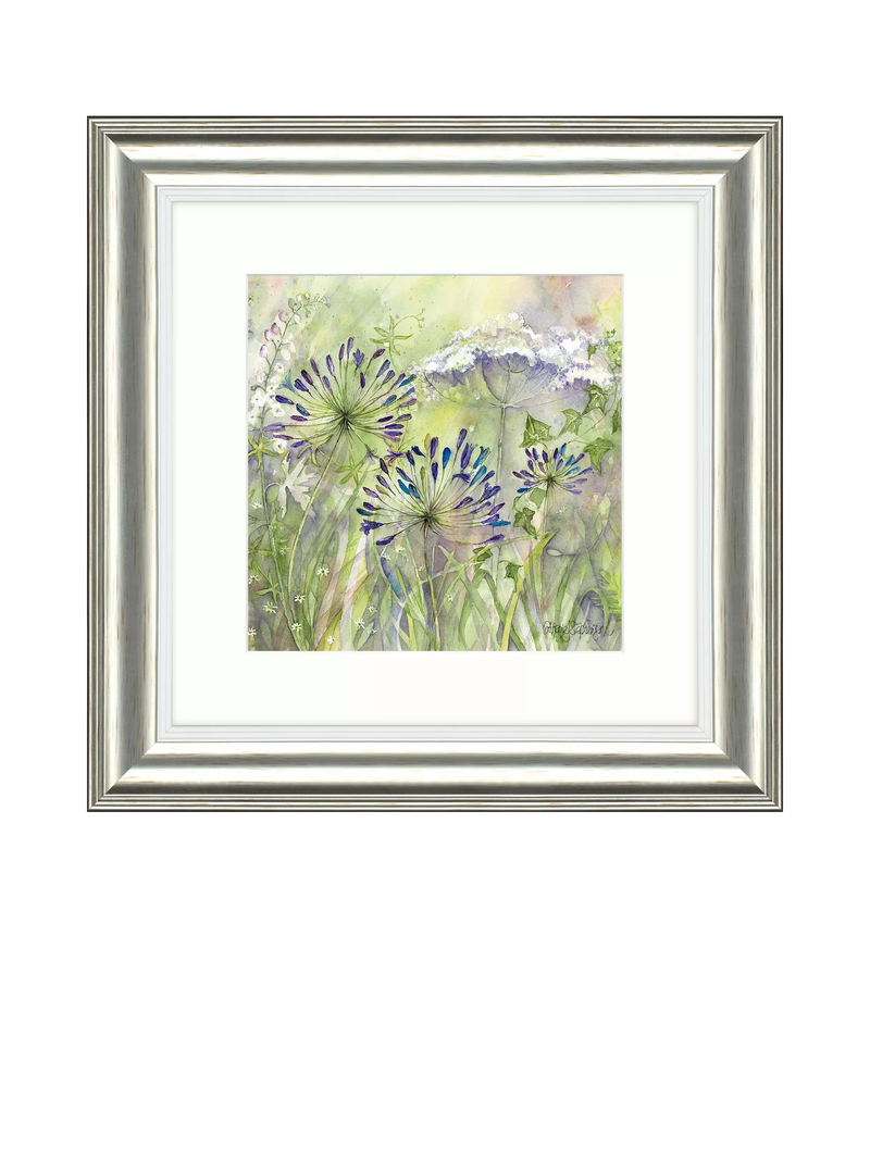 John Lewis Agapanthus Grasses II framed print 50x50cm - British product
