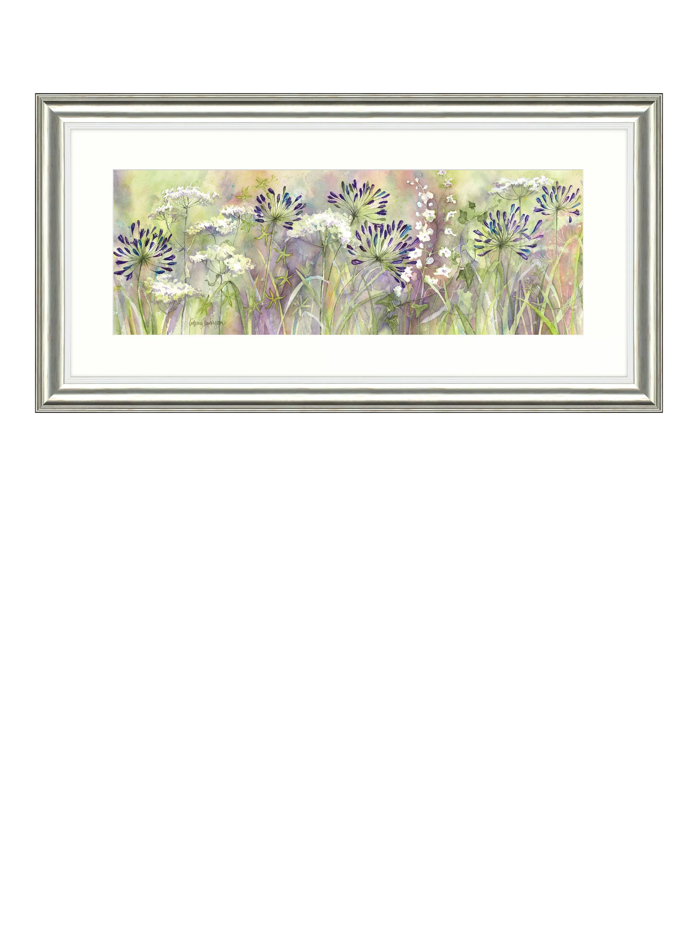 John Lewis framed print Agapanthus Grasses 55x110cm, imported from the UK