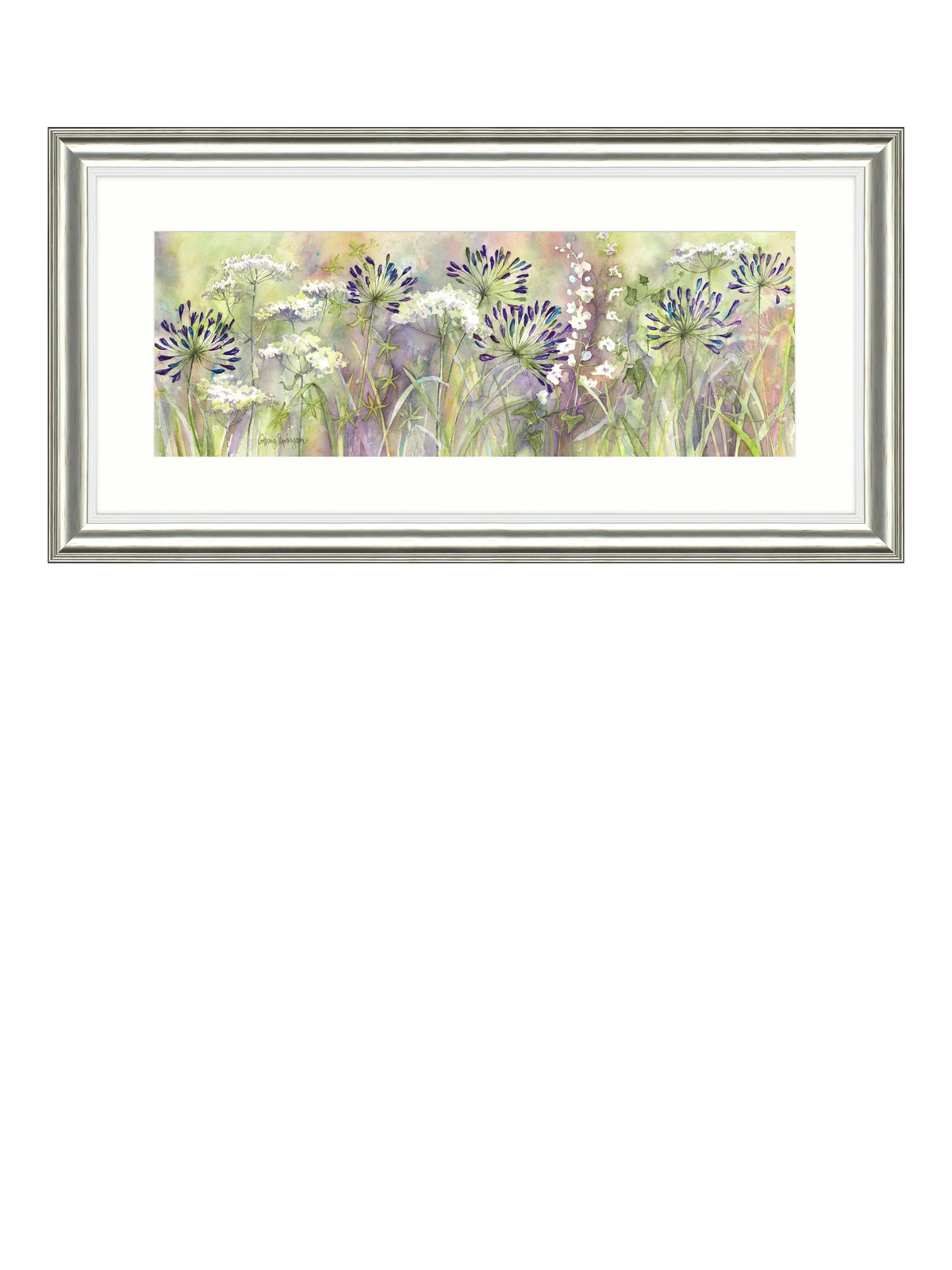John Lewis framed print Agapanthus Grasses 55x110cm, imported from the UK