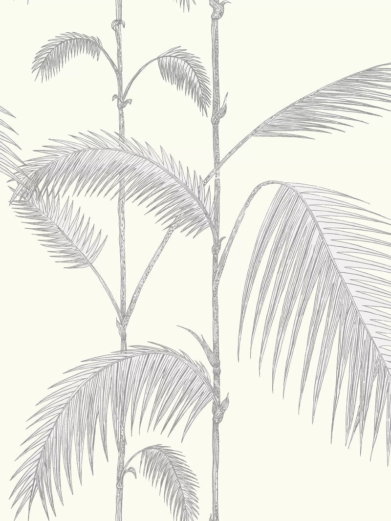Cole & Son Palm Jungle Wallpaper 10m x 52cm roll, UK version