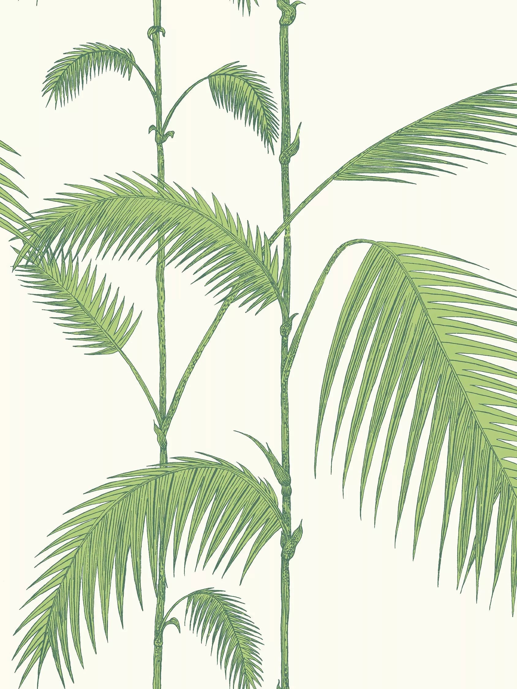 Cole & Son Palm Jungle Wallpaper