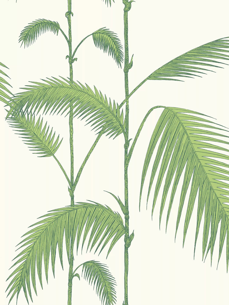 Cole & Son Palm Jungle Wallpaper
