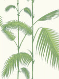 Cole & Son Palm Jungle Wallpaper
