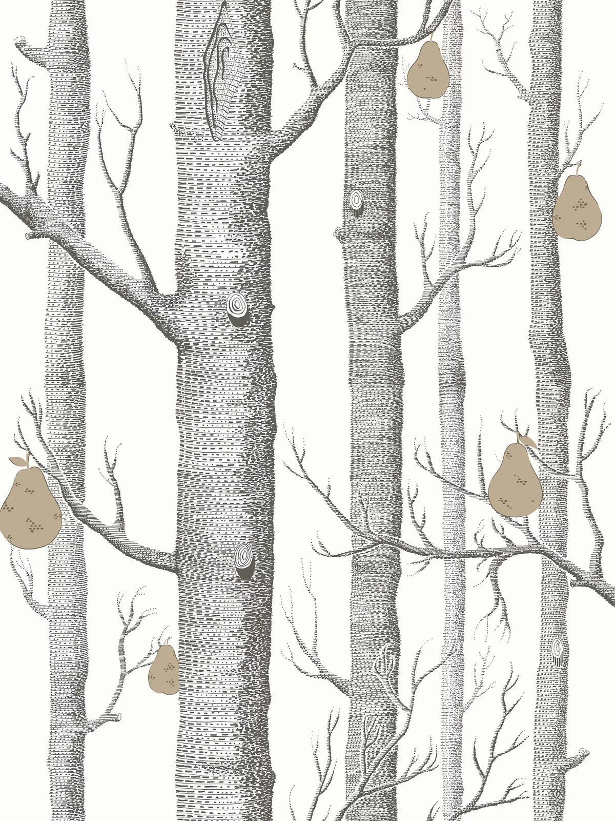 Cole & Son Woods And Pears wallpaper 10m x 52cm (British brand)