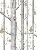 Cole & Son Woods And Pears wallpaper 10m x 52cm (British brand)
