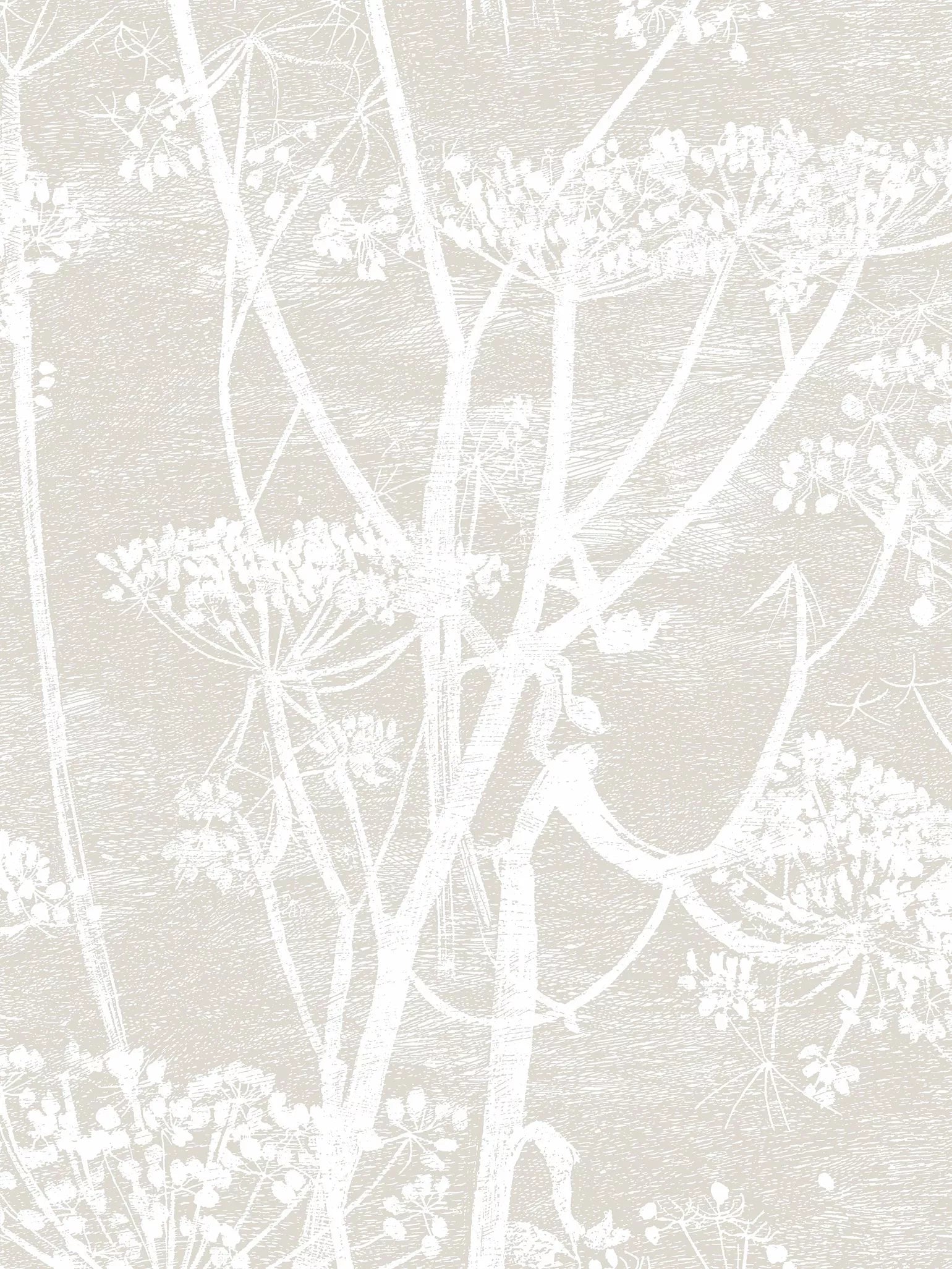 Cole & Son Cow Parsley Wallpaper L10m x W53cm