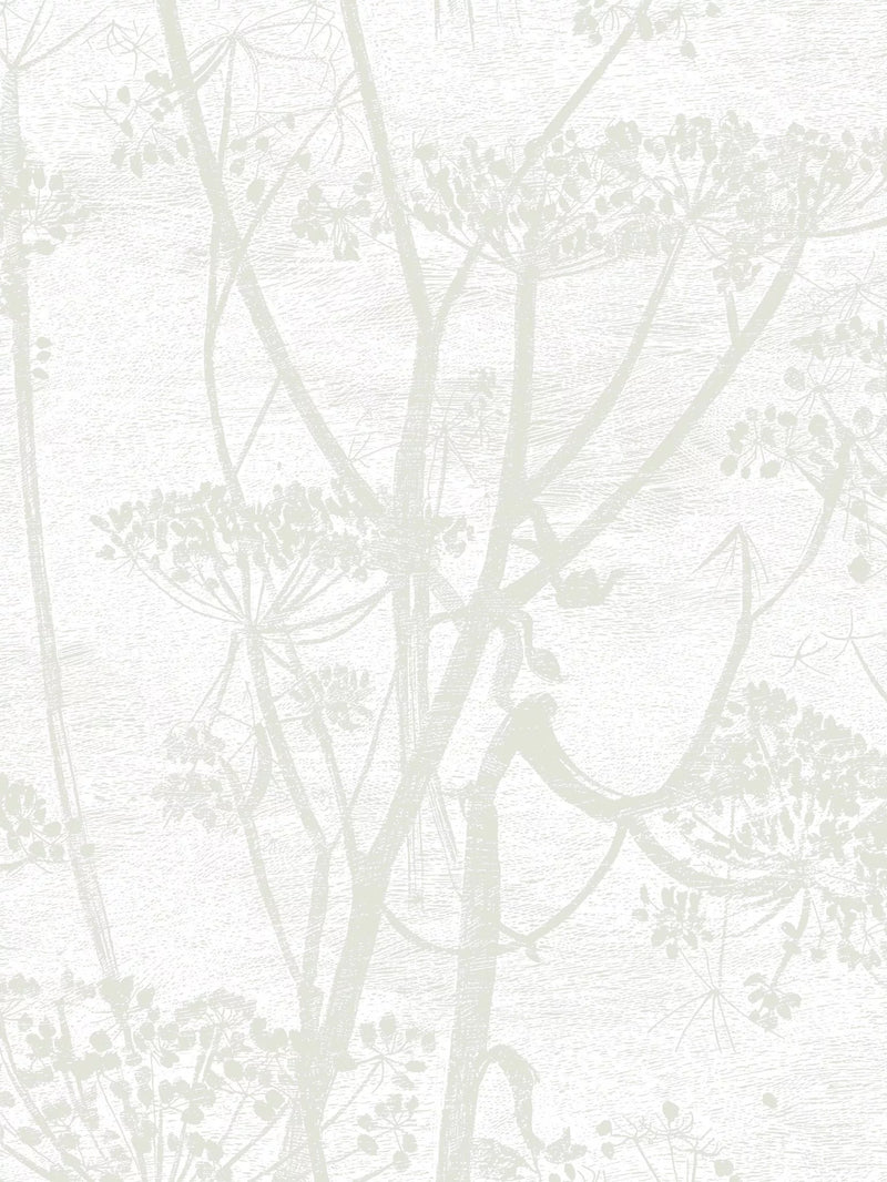 Cole & Son Cow Parsley Wallpaper L10m x W53cm