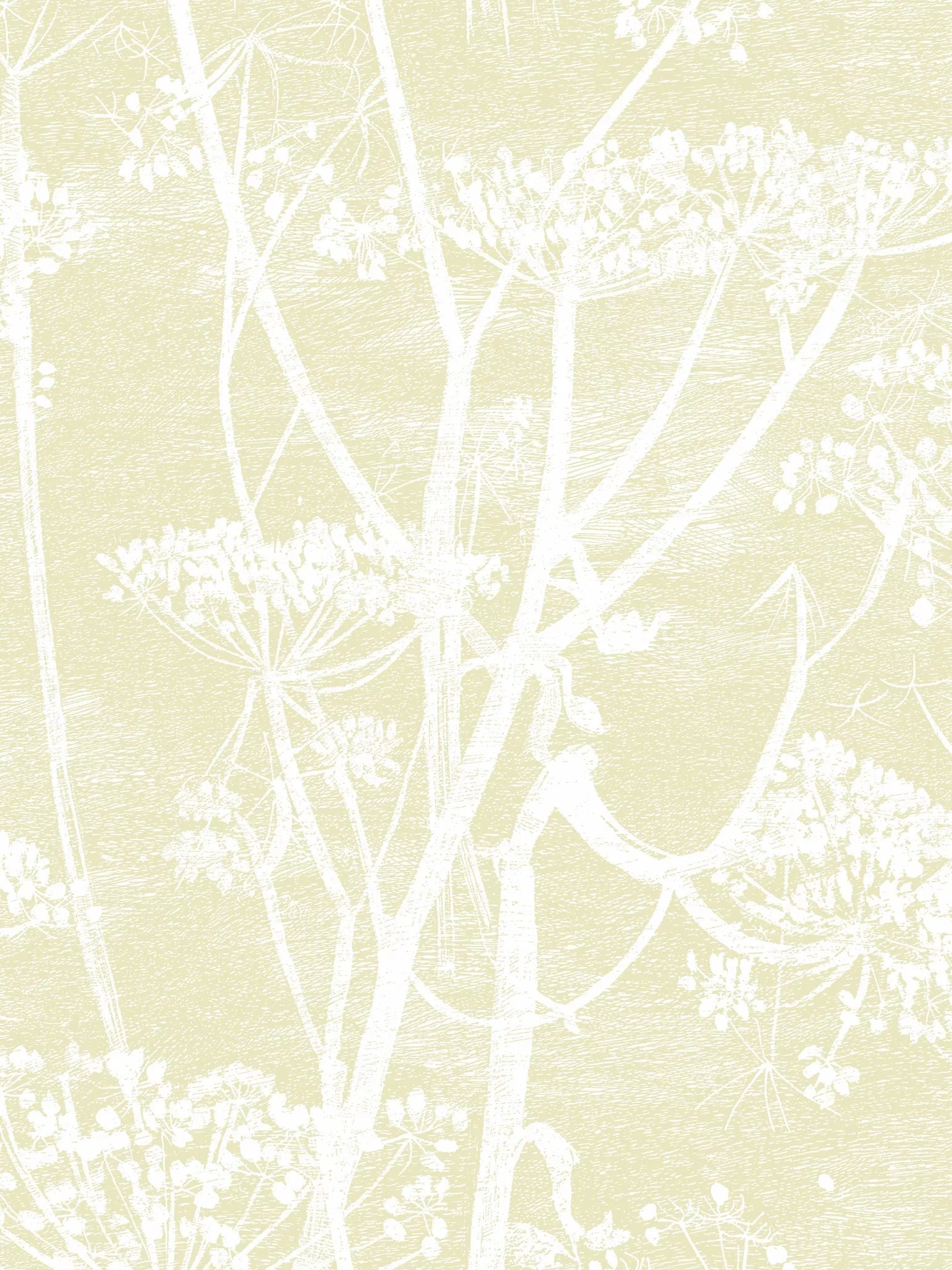 Cole & Son Cow Parsley wallpaper 10m x 53cm - British product