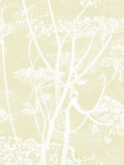 John Lewis Cole & Son Cow Parsley Wallpaper L10m x W53cm- Buy online at McGrocer