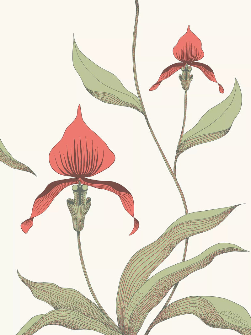 Cole & Son Orchid Wallpaper 10m x 53cm