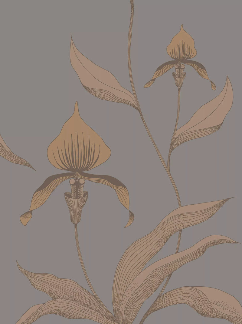Cole & Son Orchid wallpaper 10m x 53cm (British brand)