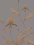 Cole & Son Orchid wallpaper 10m x 53cm (British brand)
