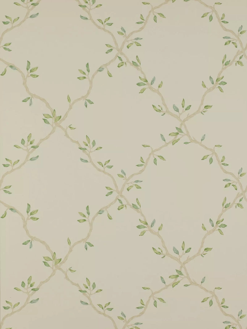 Colefax and Fowler Leaf Trellis wallpaper 10m x 52cm - British product