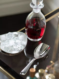Robert Welch Radford stainless steel ice scoop (British brand)