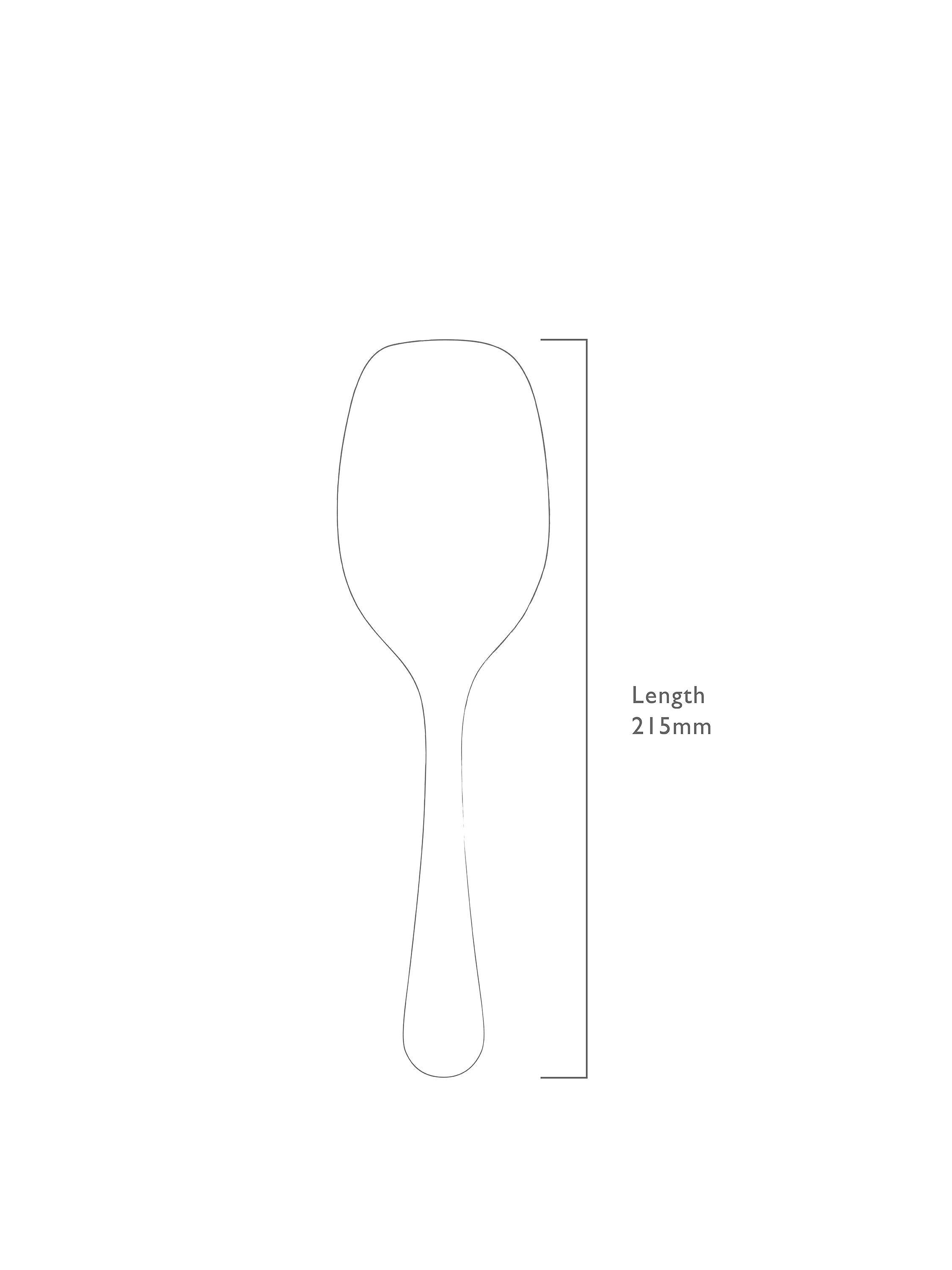 Robert Welch Radford stainless steel ice scoop (British brand)