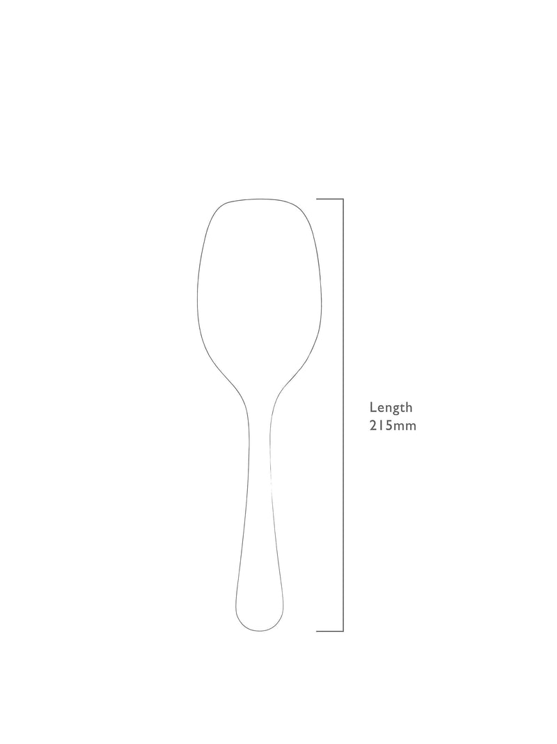 Robert Welch Radford stainless steel ice scoop (British brand)
