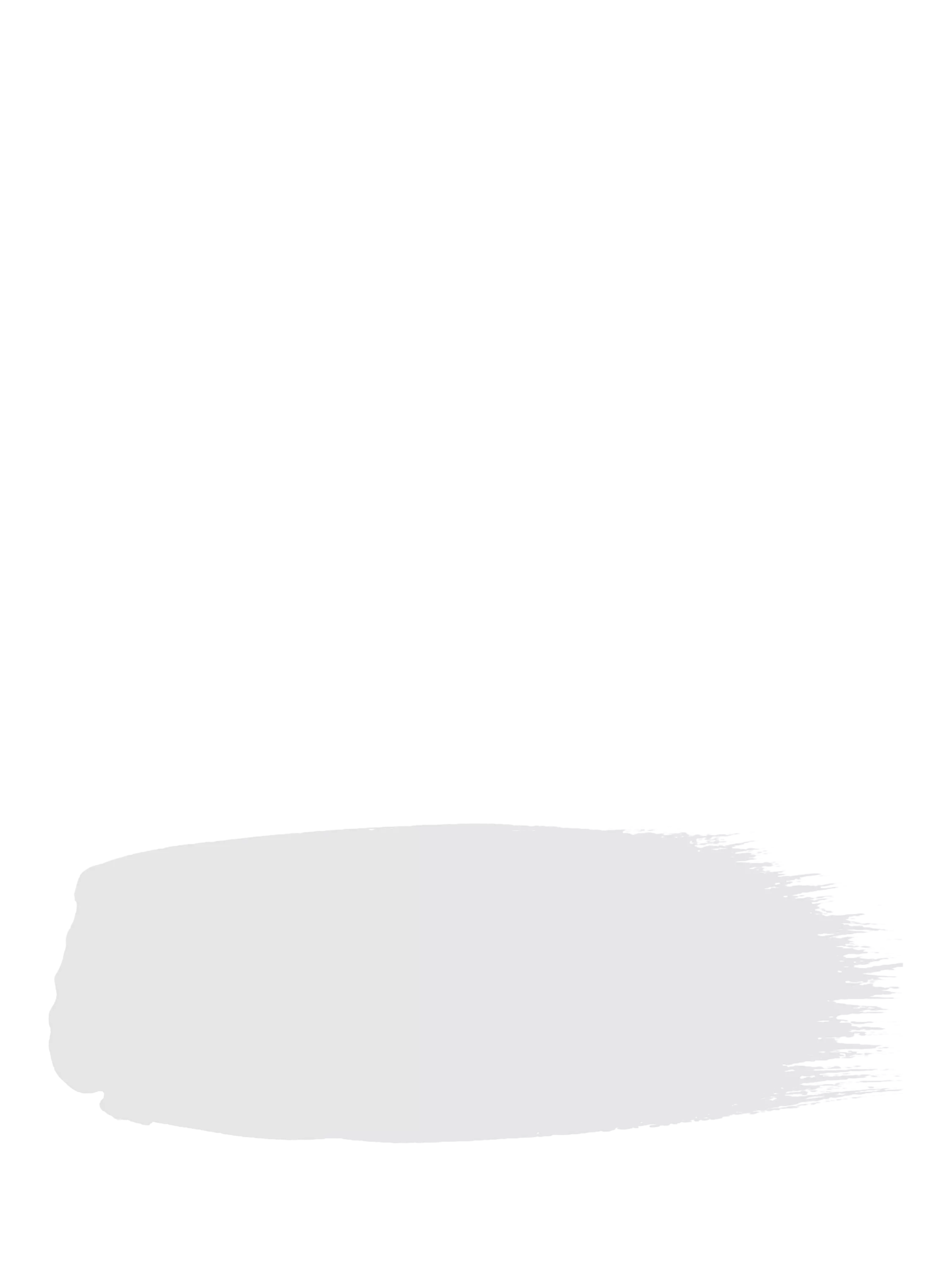 The Little Greene Paint Company Absolute Matt Emulsion 2.5L