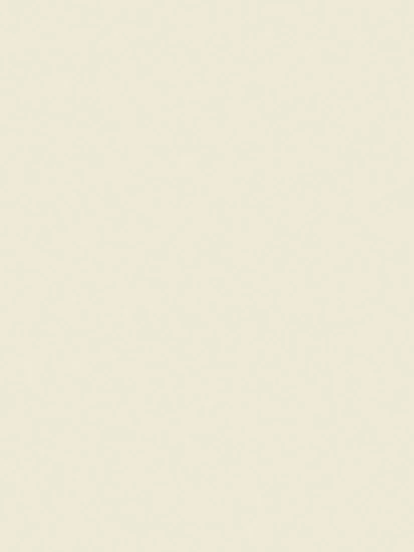 The Little Greene Paint Company Absolute Matt Emulsion 2.5L