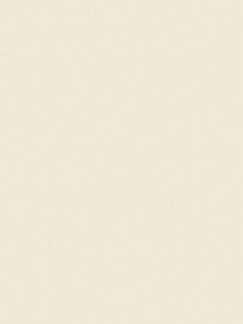 The Little Greene Paint Company Absolute Matt Emulsion 2.5L