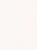 The Little Greene Paint Company Absolute Matt Emulsion 2.5L