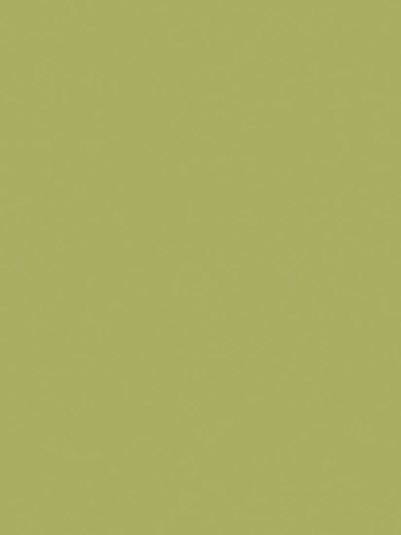 The Little Greene Paint Company Absolute Matt Emulsion 2.5L