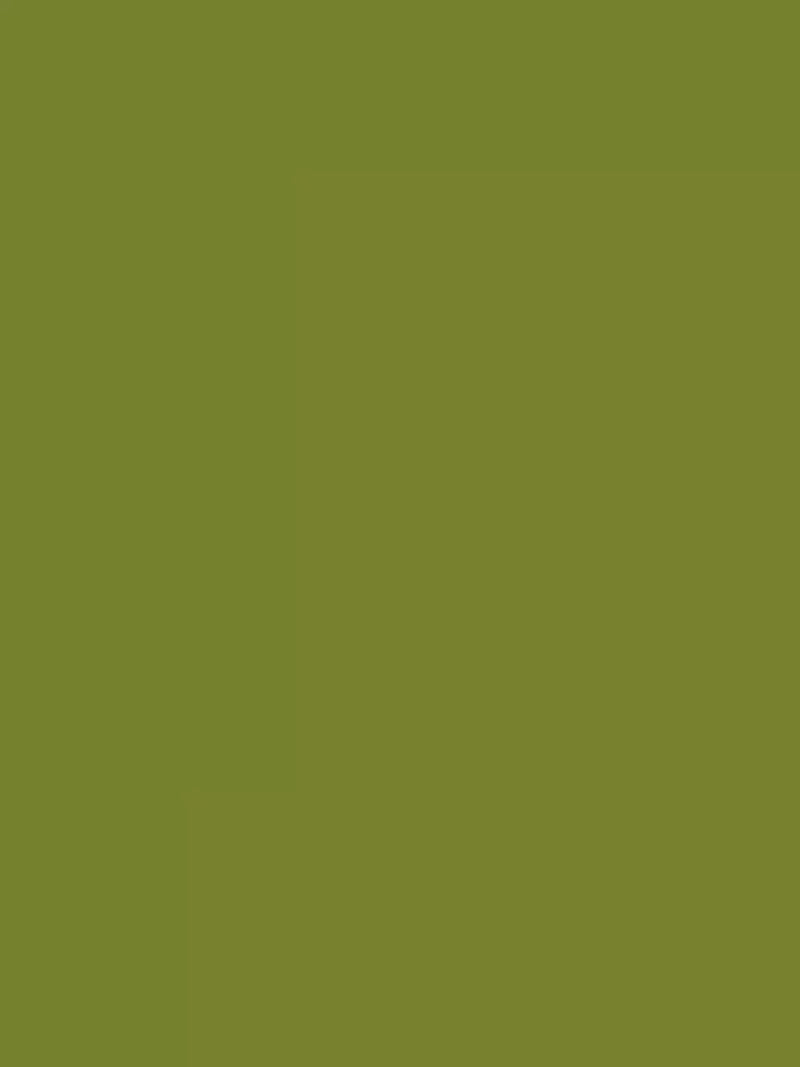 The Little Greene Paint Company Absolute Matt Emulsion 2.5L