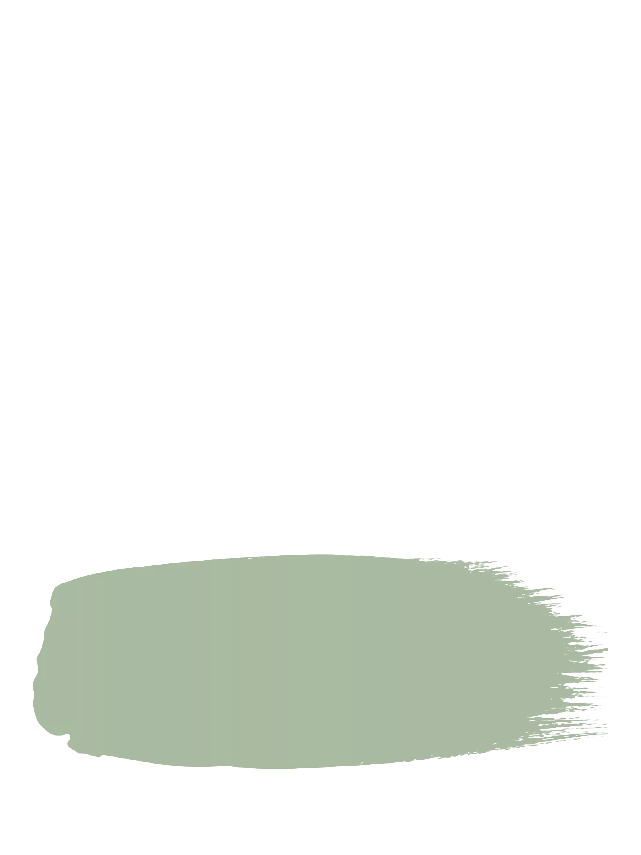The Little Greene Paint Company Absolute Matt Emulsion 2.5L