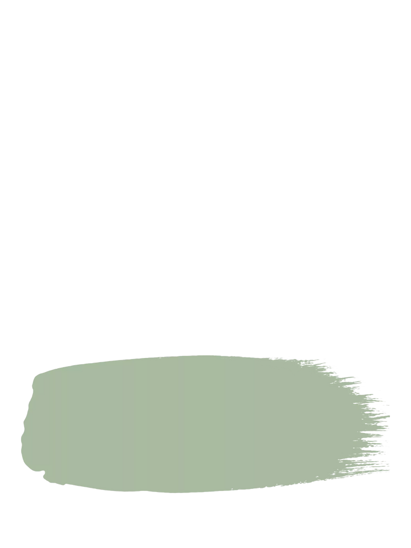 The Little Greene Paint Company Absolute Matt Emulsion 2.5L