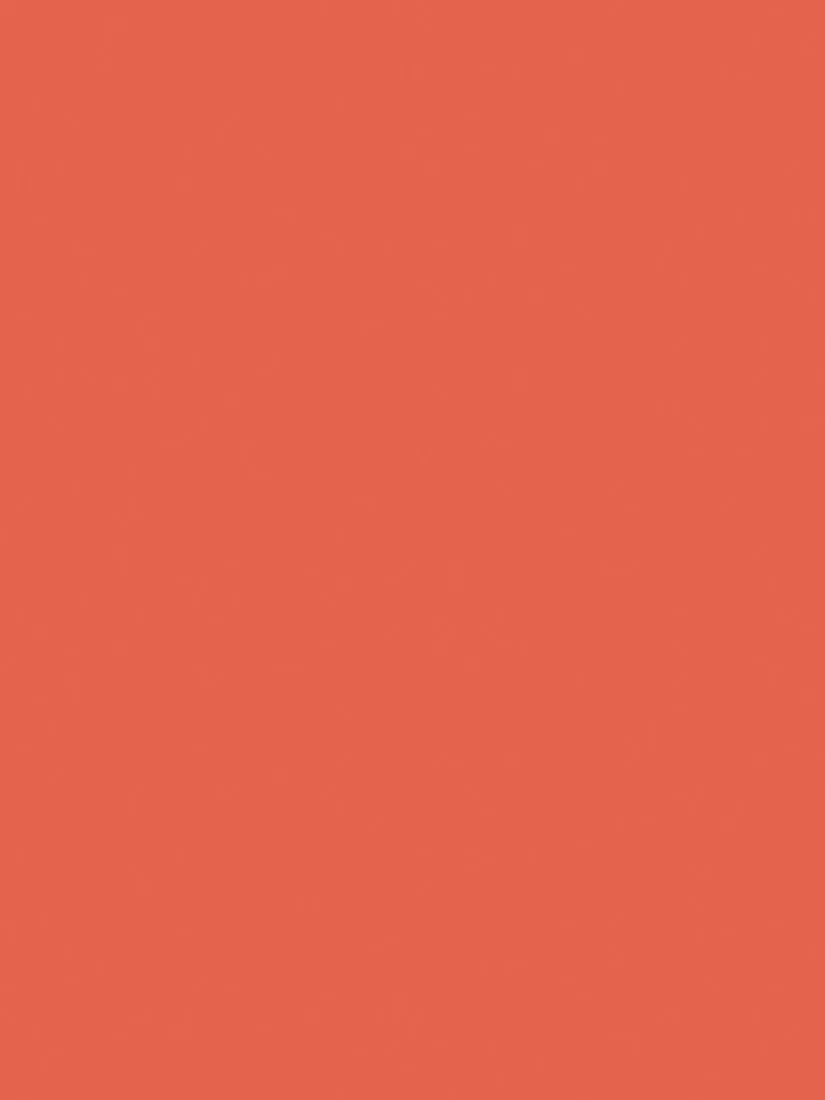 The Little Greene Paint Company Absolute Matt Emulsion 2.5L