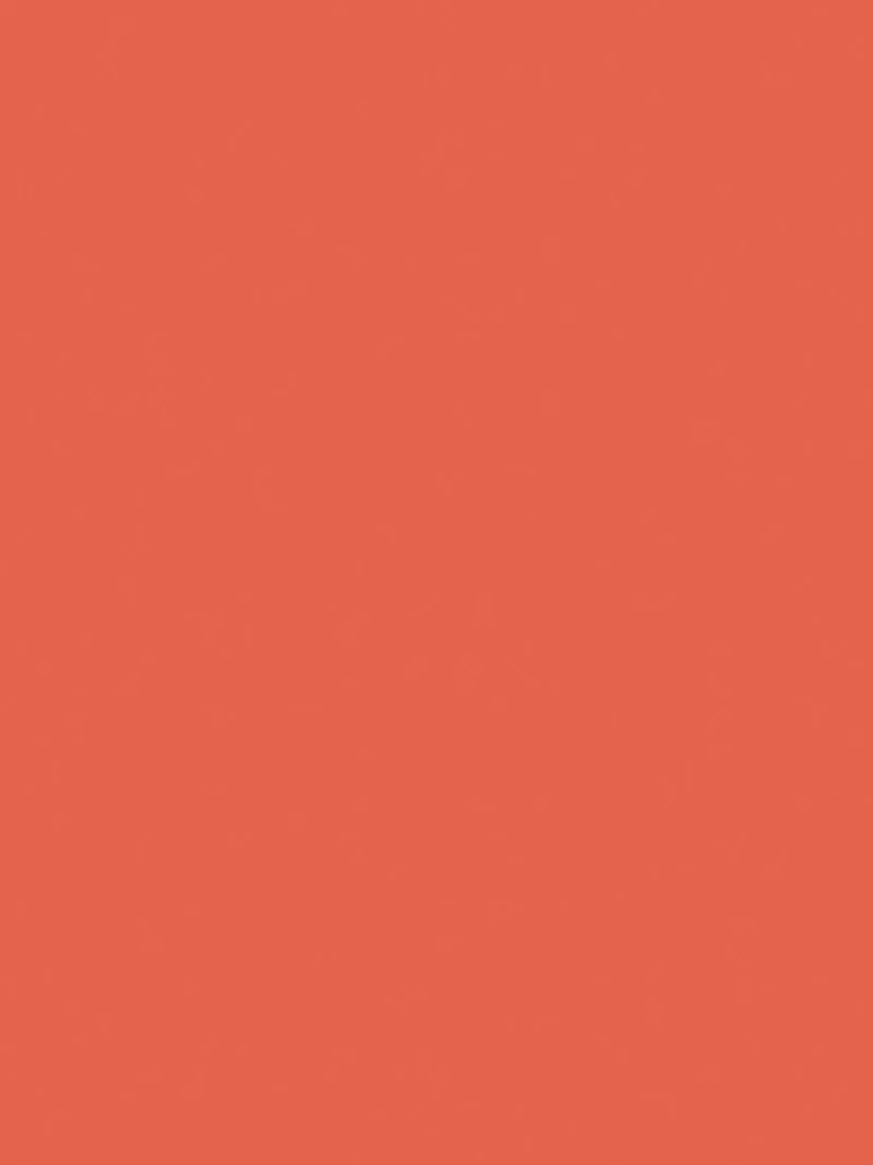 The Little Greene Paint Company Absolute Matt Emulsion 2.5L