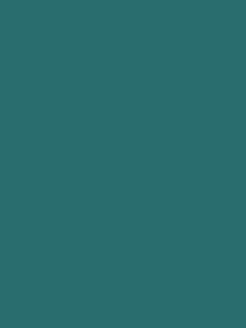 The Little Greene Paint Company Absolute Matt Emulsion 2.5L