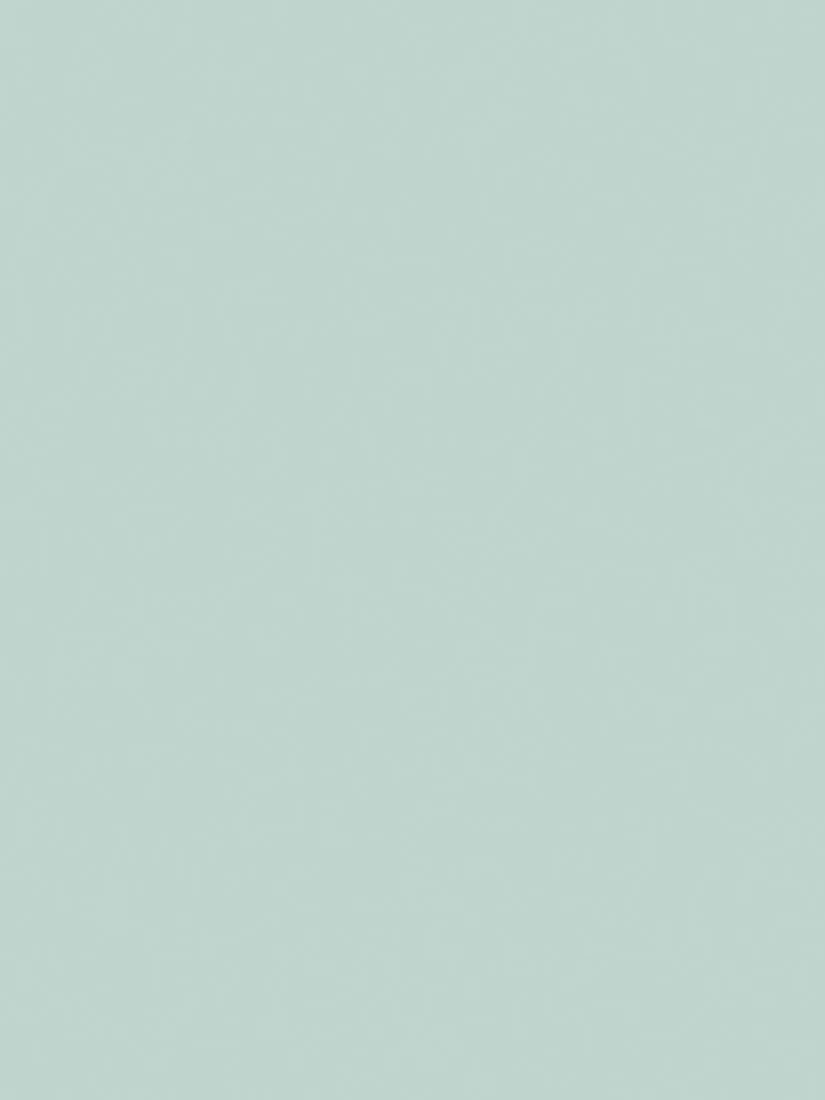 The Little Greene Paint Company Absolute Matt Emulsion 2.5L