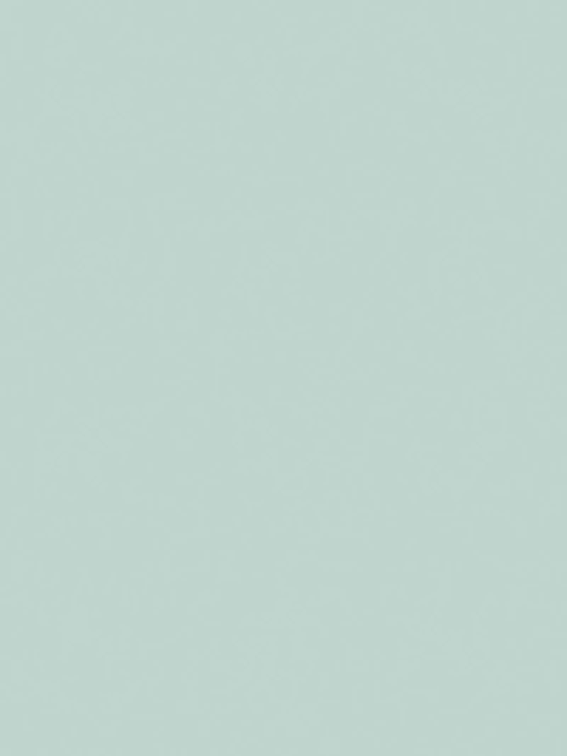 The Little Greene Paint Company Absolute Matt Emulsion 2.5L