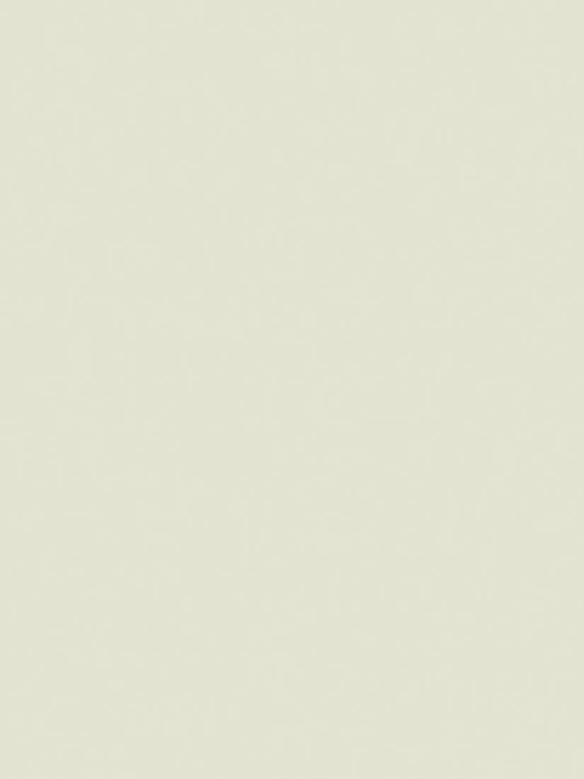 The Little Greene Paint Company Absolute Matt Emulsion 2.5L