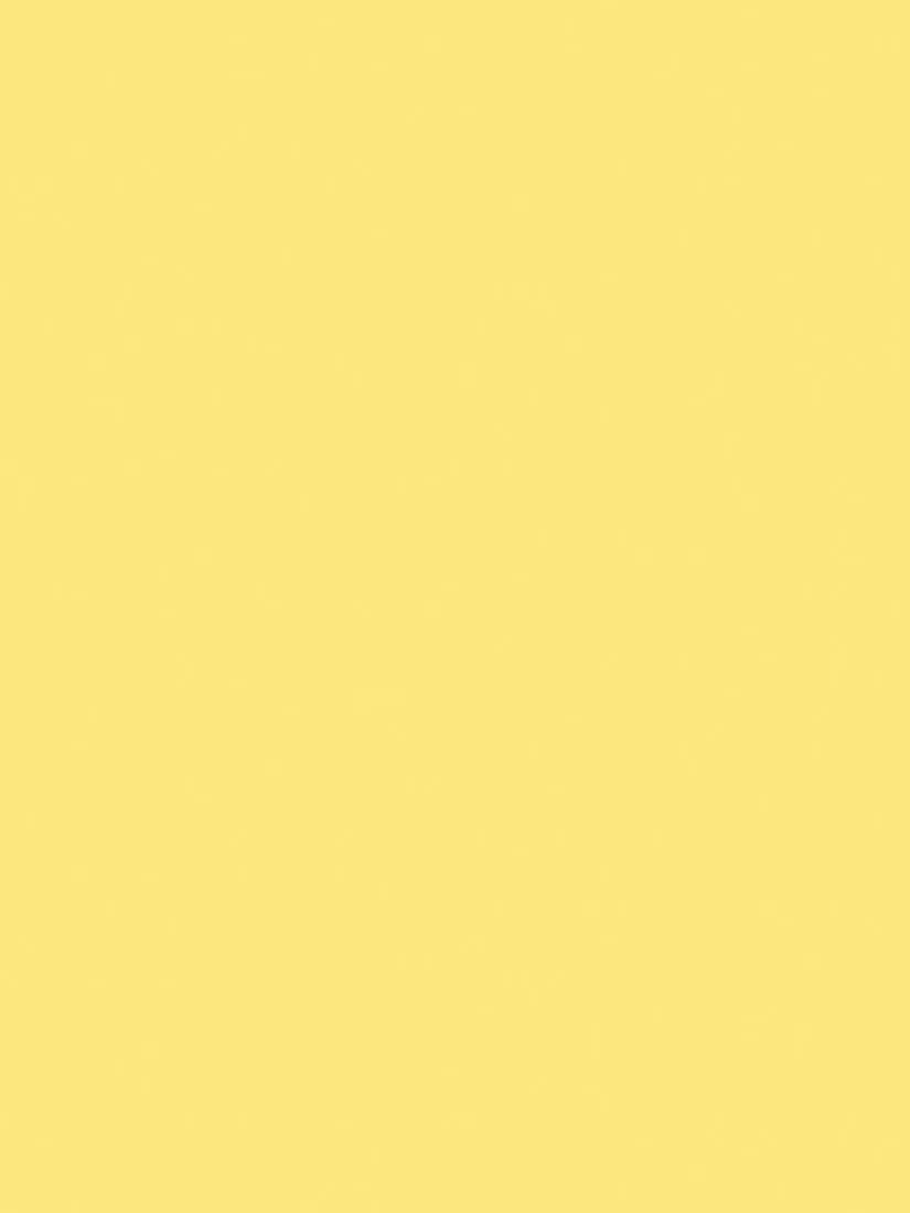 The Little Greene Paint Company Absolute Matt Emulsion 2.5L