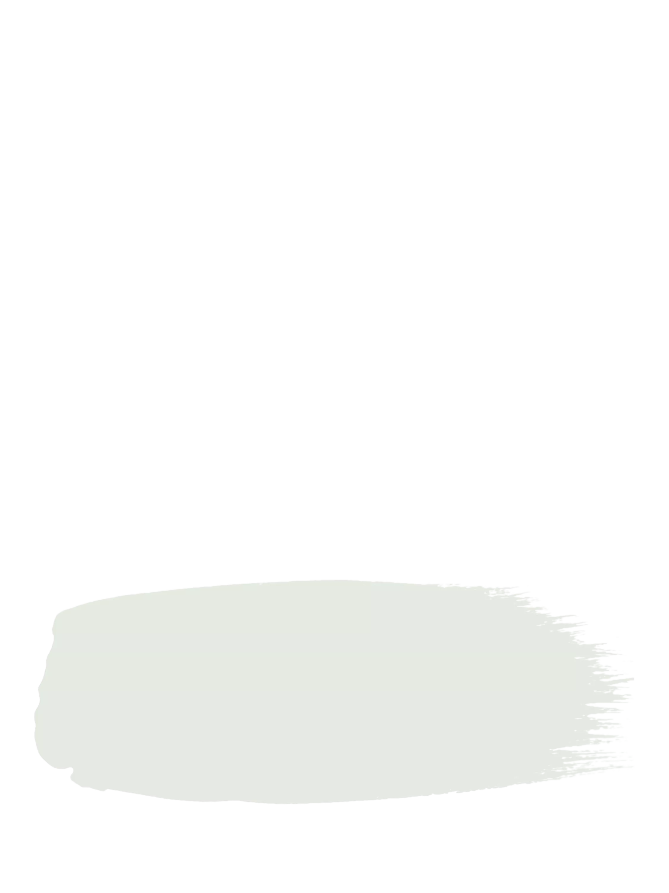 The Little Greene Paint Company Absolute Matt Emulsion 2.5L