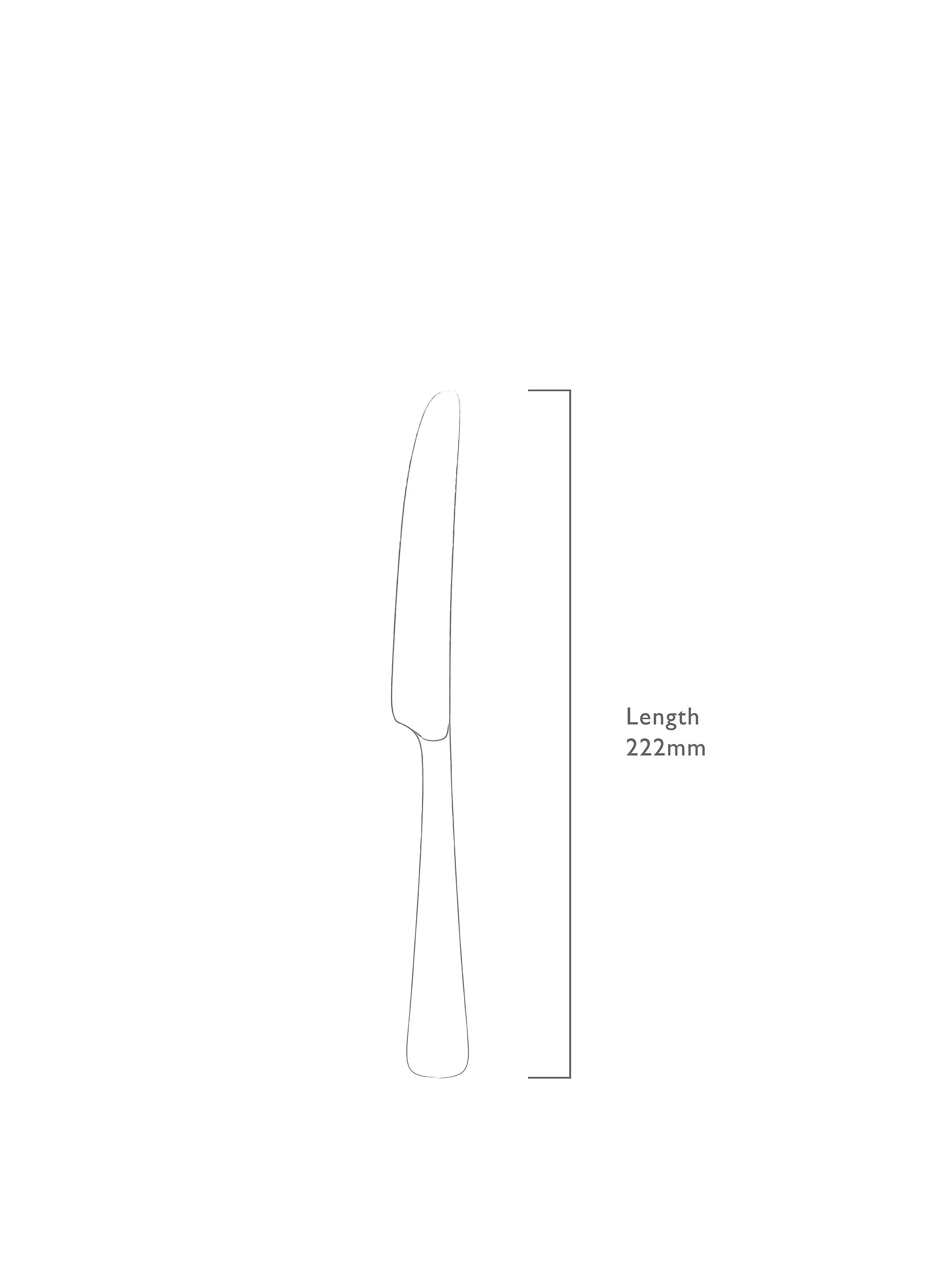 Robert Welch Malvern side knife stainless steel, imported from the UK