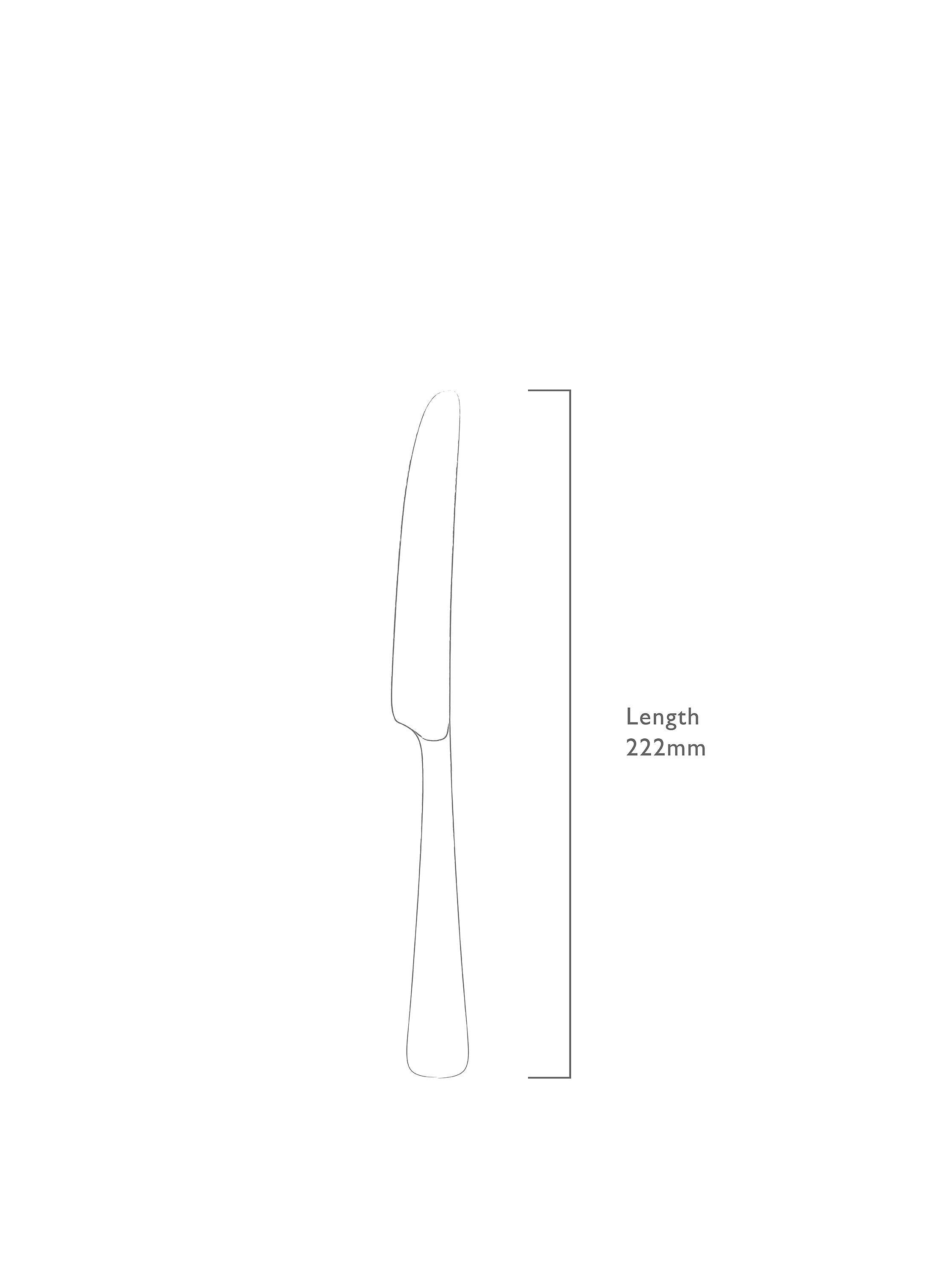 Robert Welch Malvern side knife stainless steel, imported from the UK
