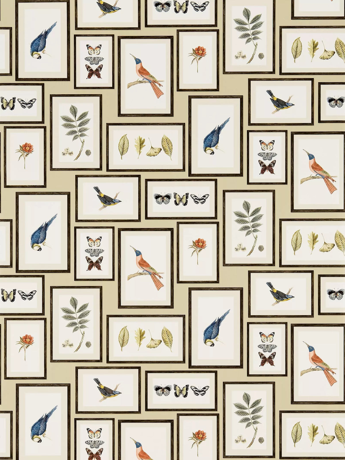 Sanderson Picture Gallery wallpaper (British brand)