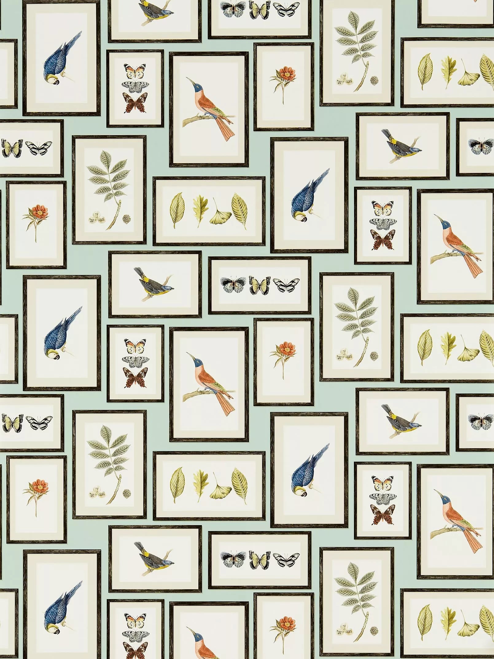 Sanderson Picture Gallery Wallpaper