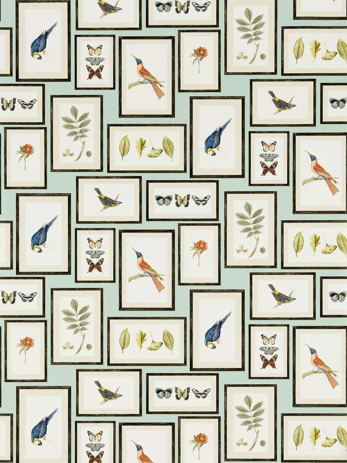 Sanderson Picture Gallery Wallpaper